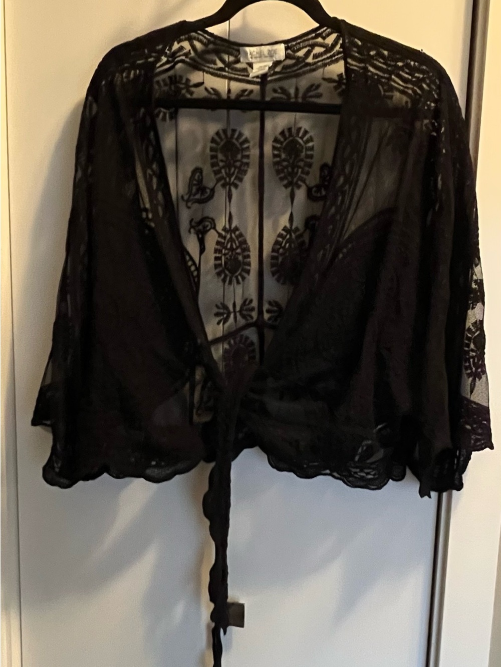 Rachel Zoe Black Sheer Embroidered Tie-Front Camisole